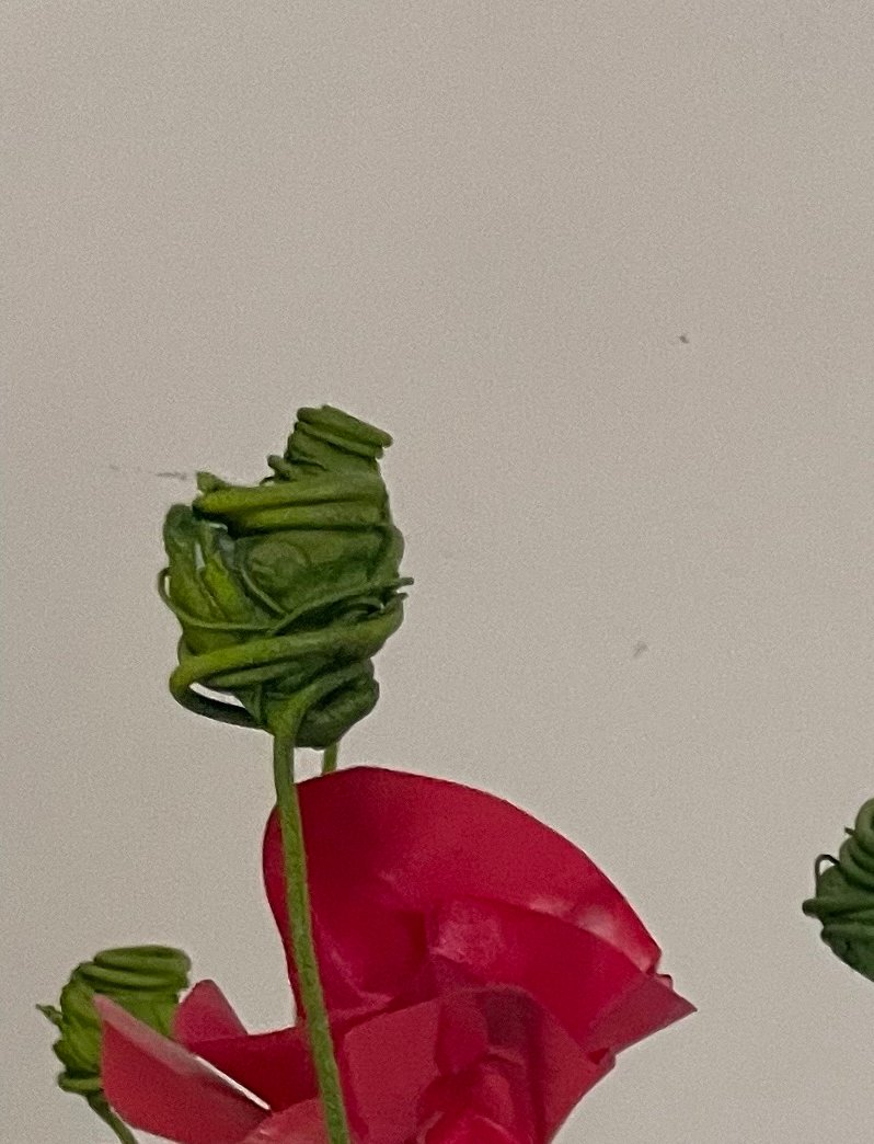 Ditch Border Flowers, Red #1, #2, #3 Ian Christensen