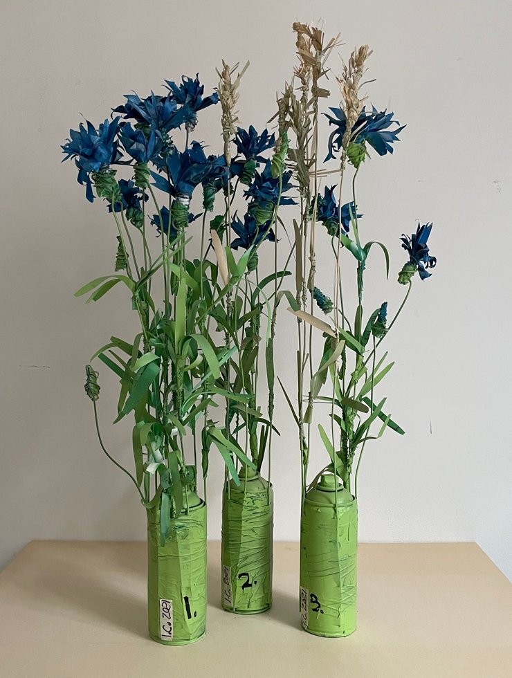 Ditch Border Flowers, Blue #1, #2, #3 — Ian Christensen