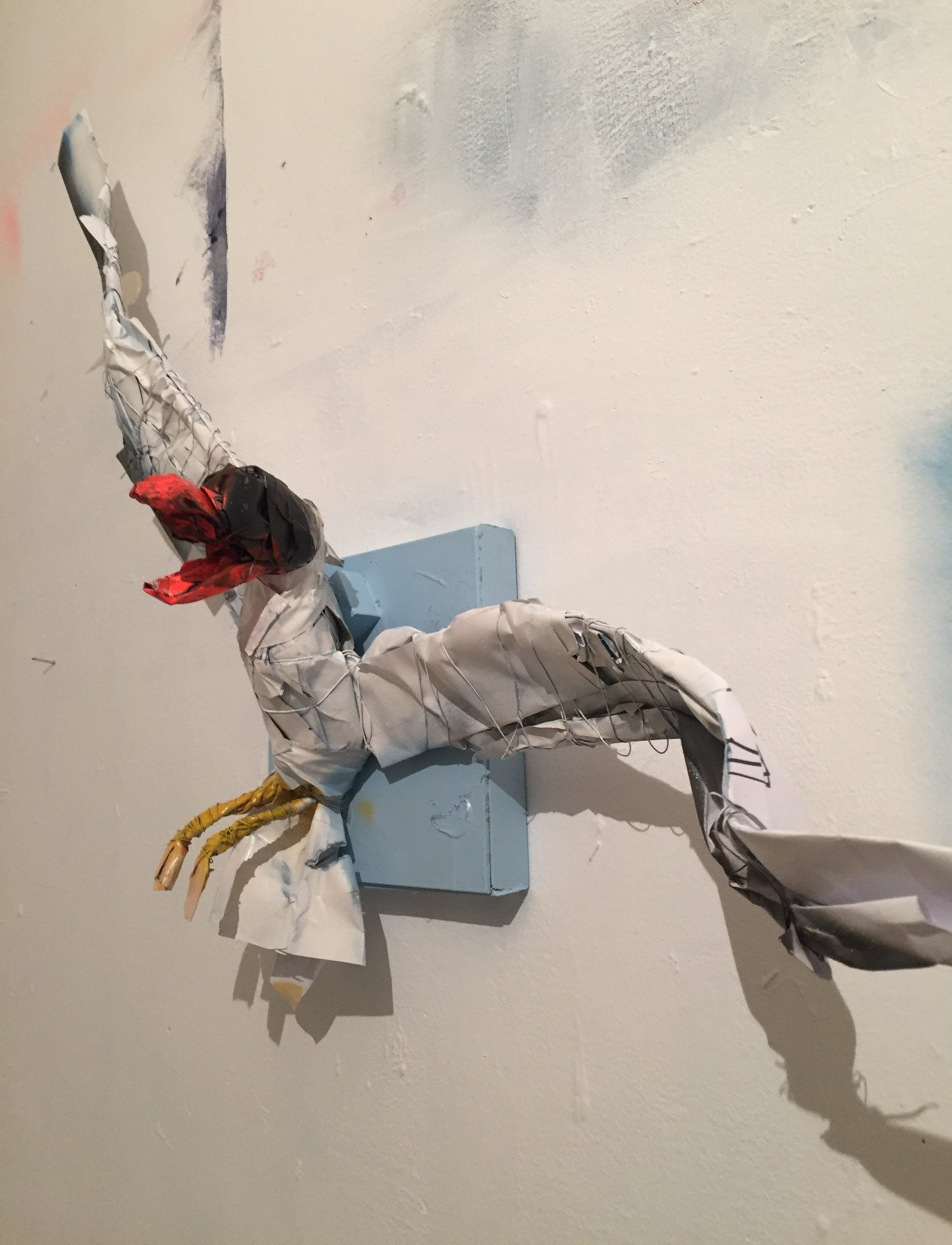 Hooded gull, early work in progress — Ian Christensen